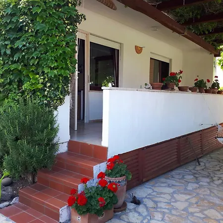 Guest house Valic 3*